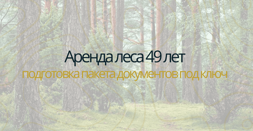 Аренда леса на 49 лет в Оренбурге
